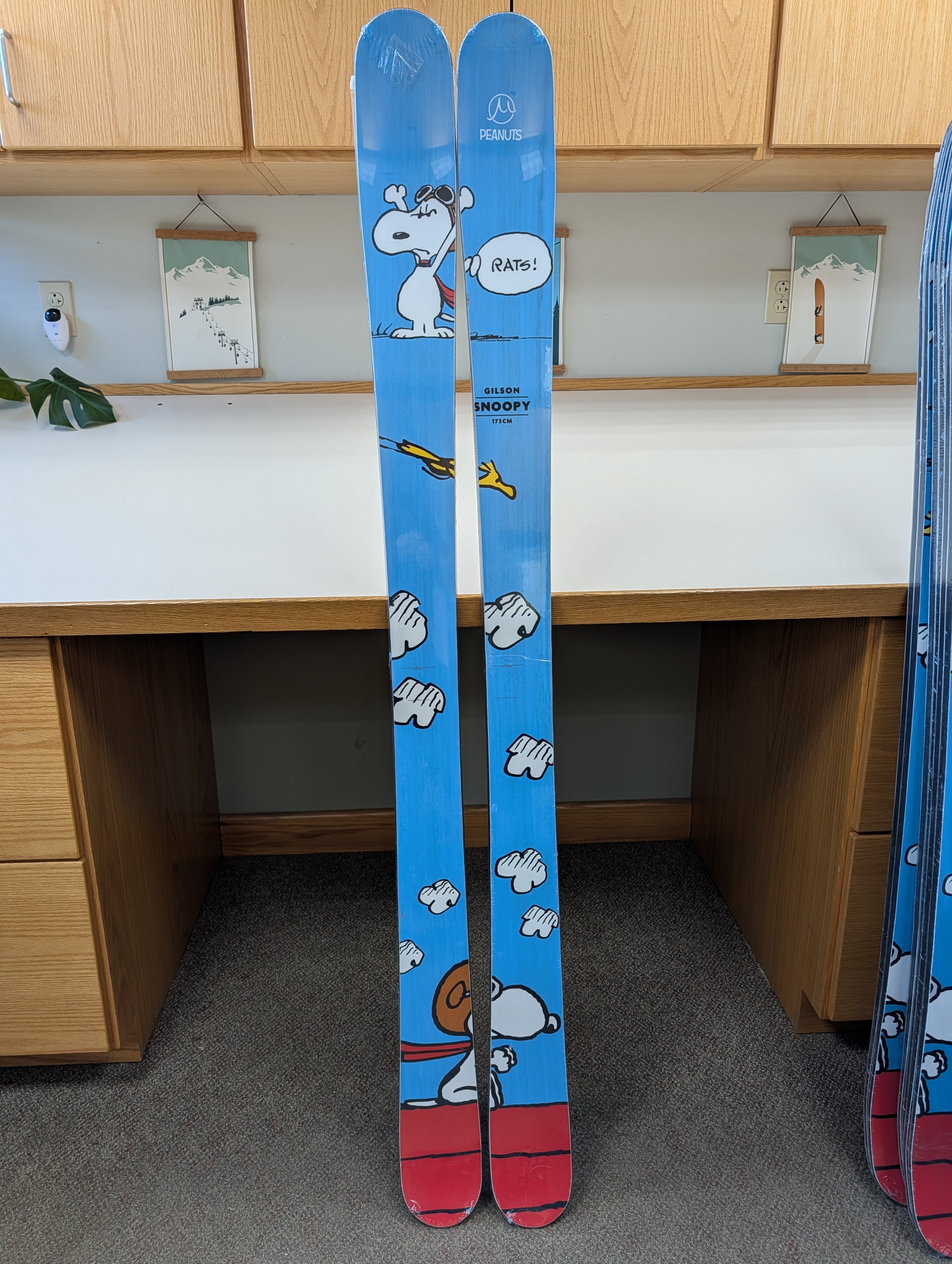 GILSON Closeout #5447 – Snoopy Skis 173cm
