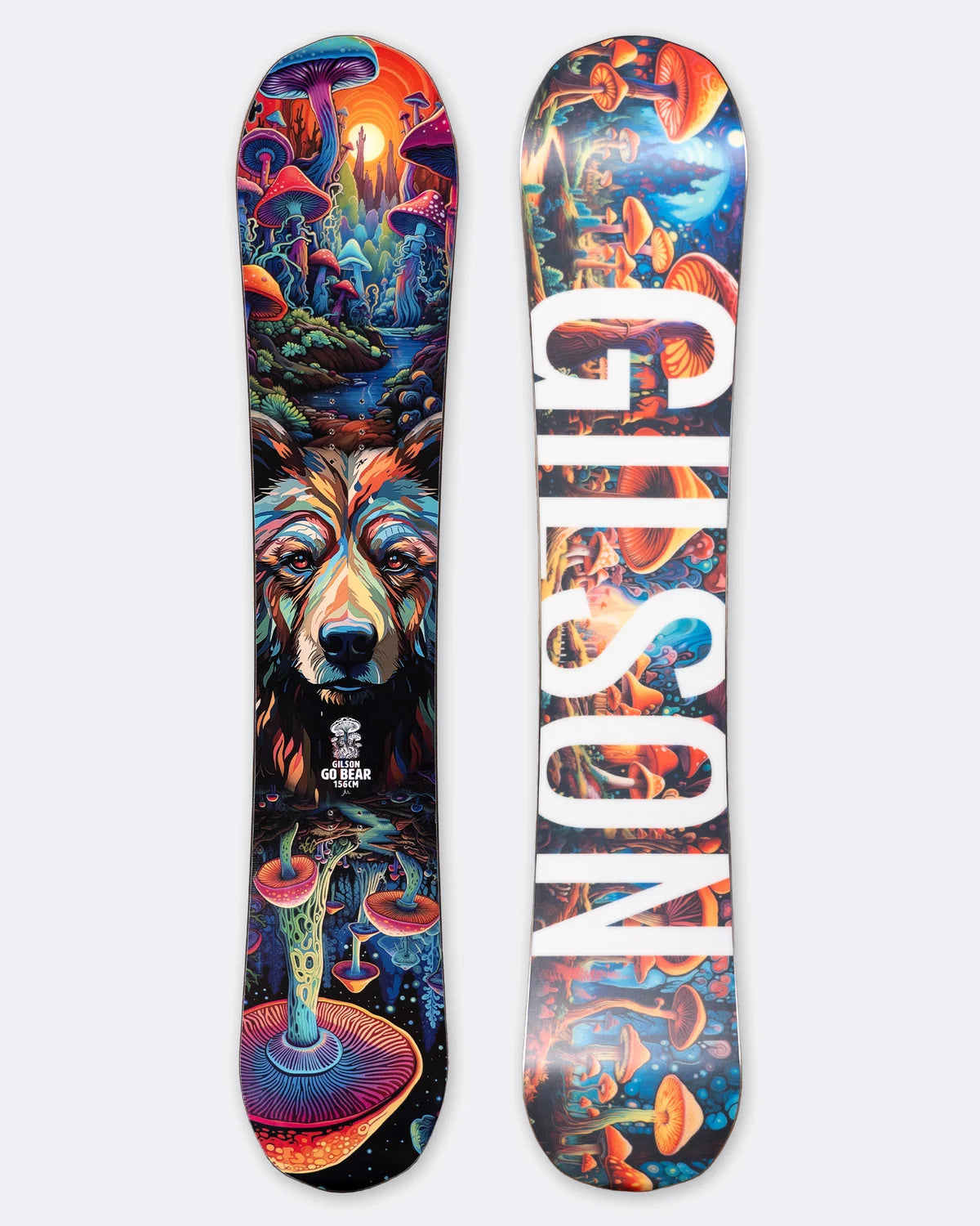 Go Bear snowboard