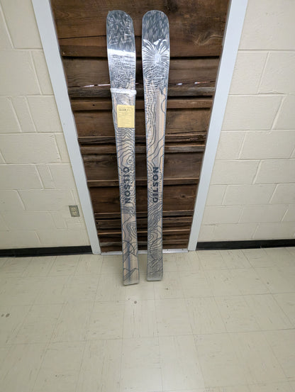 Alpine Roamer 173 Skis