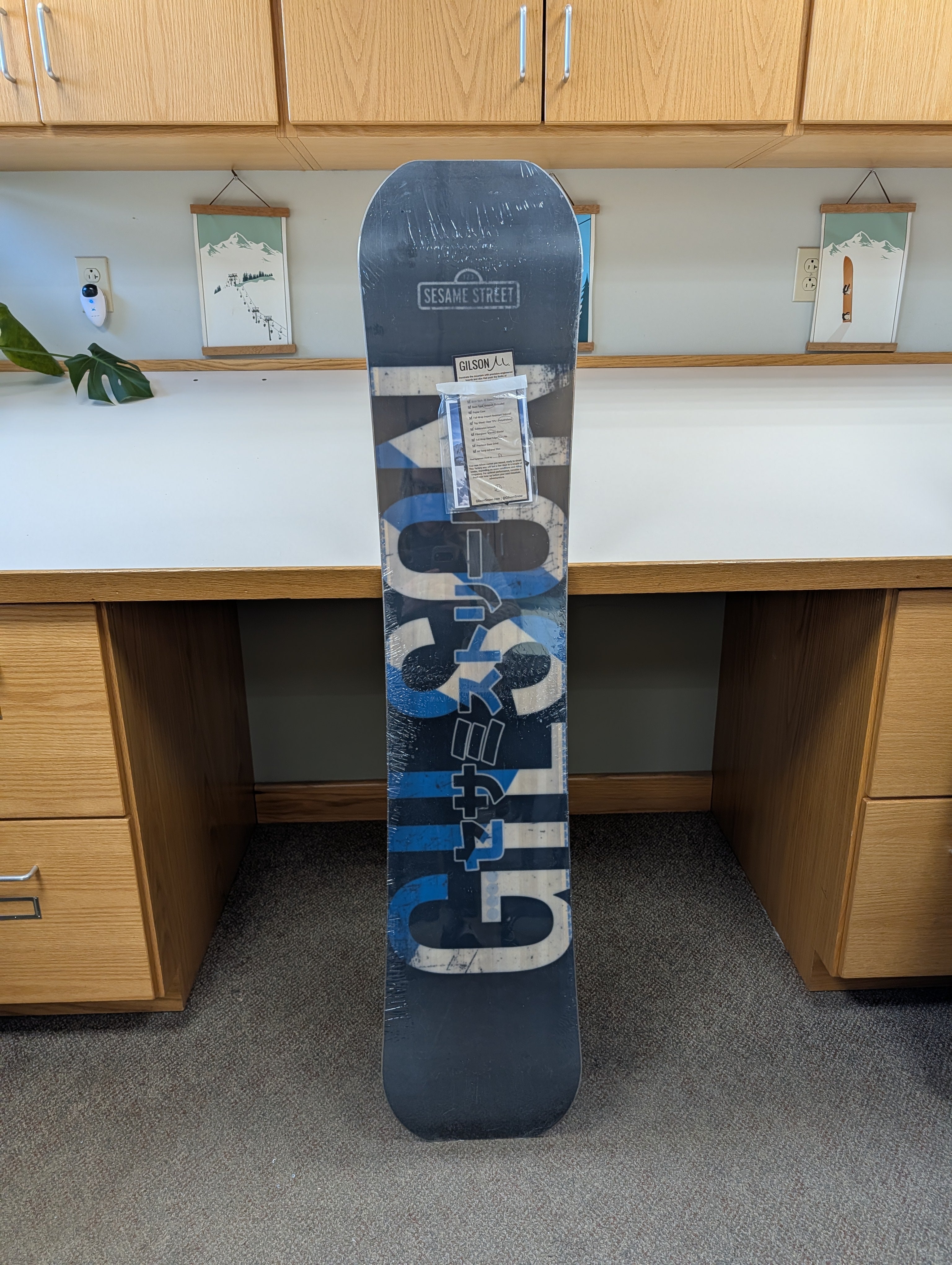 GILSON Closeout #8457 – Monster Anatomy - Cookie Monster 154 Wide