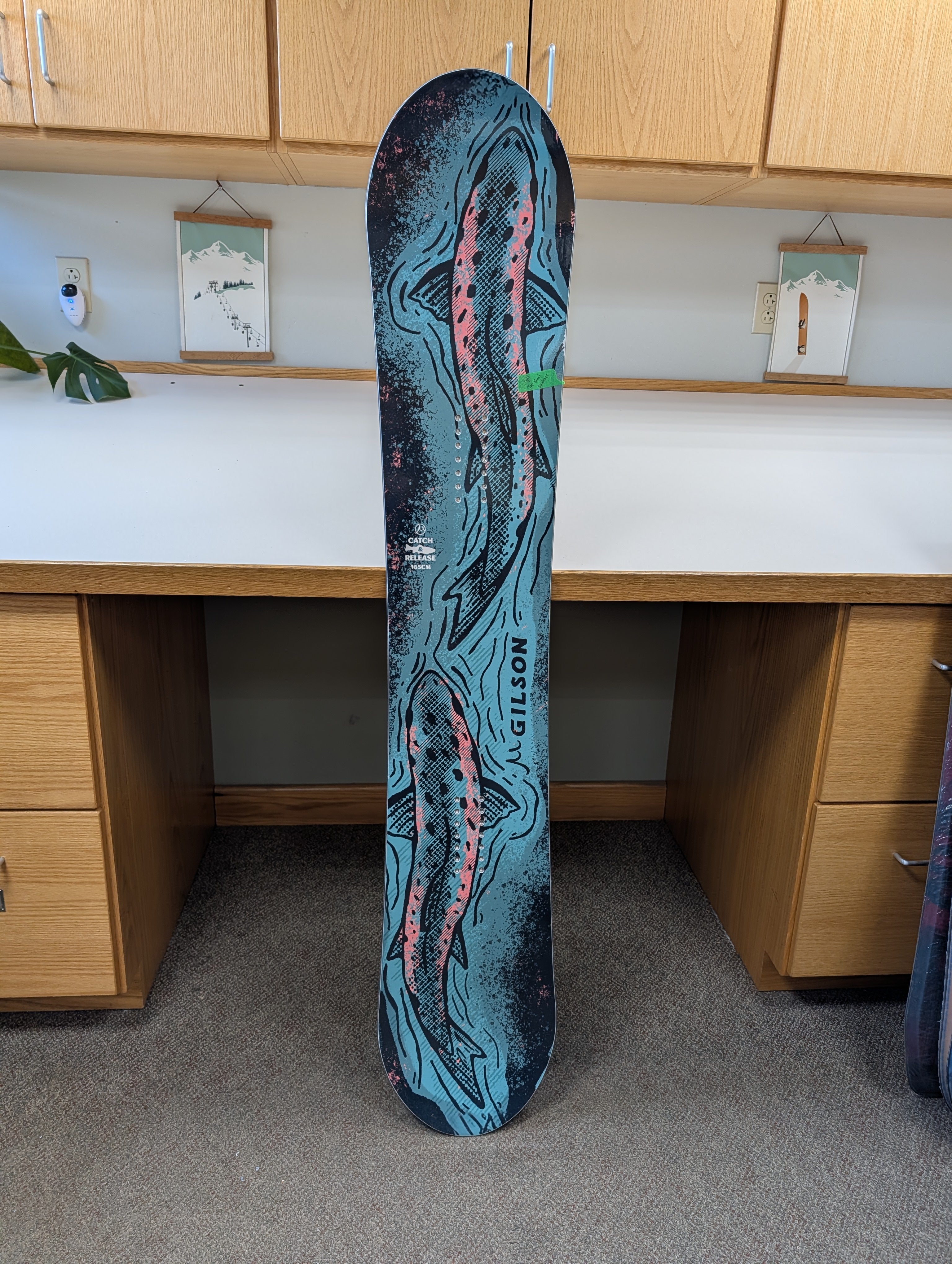 GILSON Closeout – Catch & Release 165cm