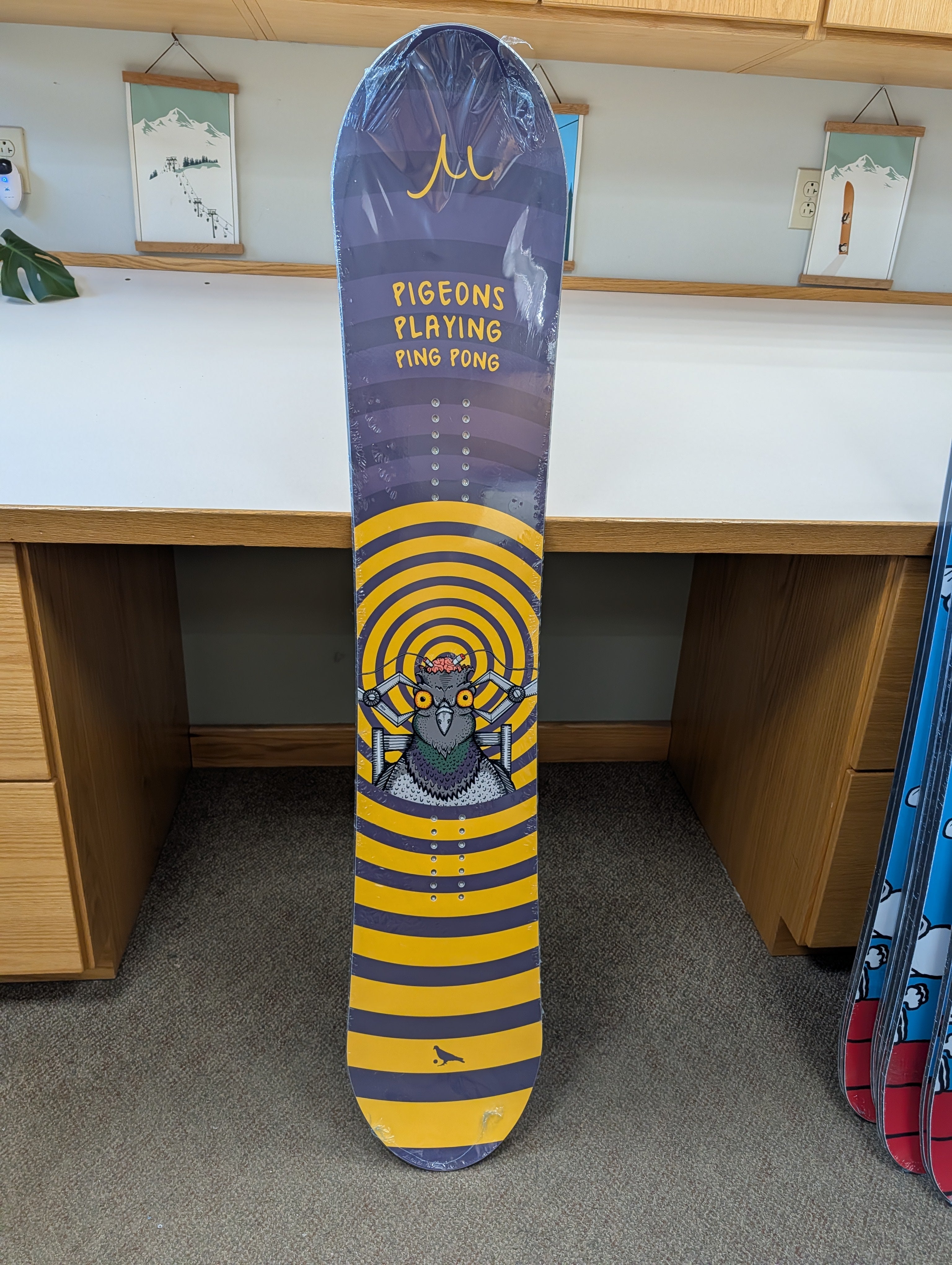 GILSON Closeout – Pigeons Playing Ping Pong 155cm