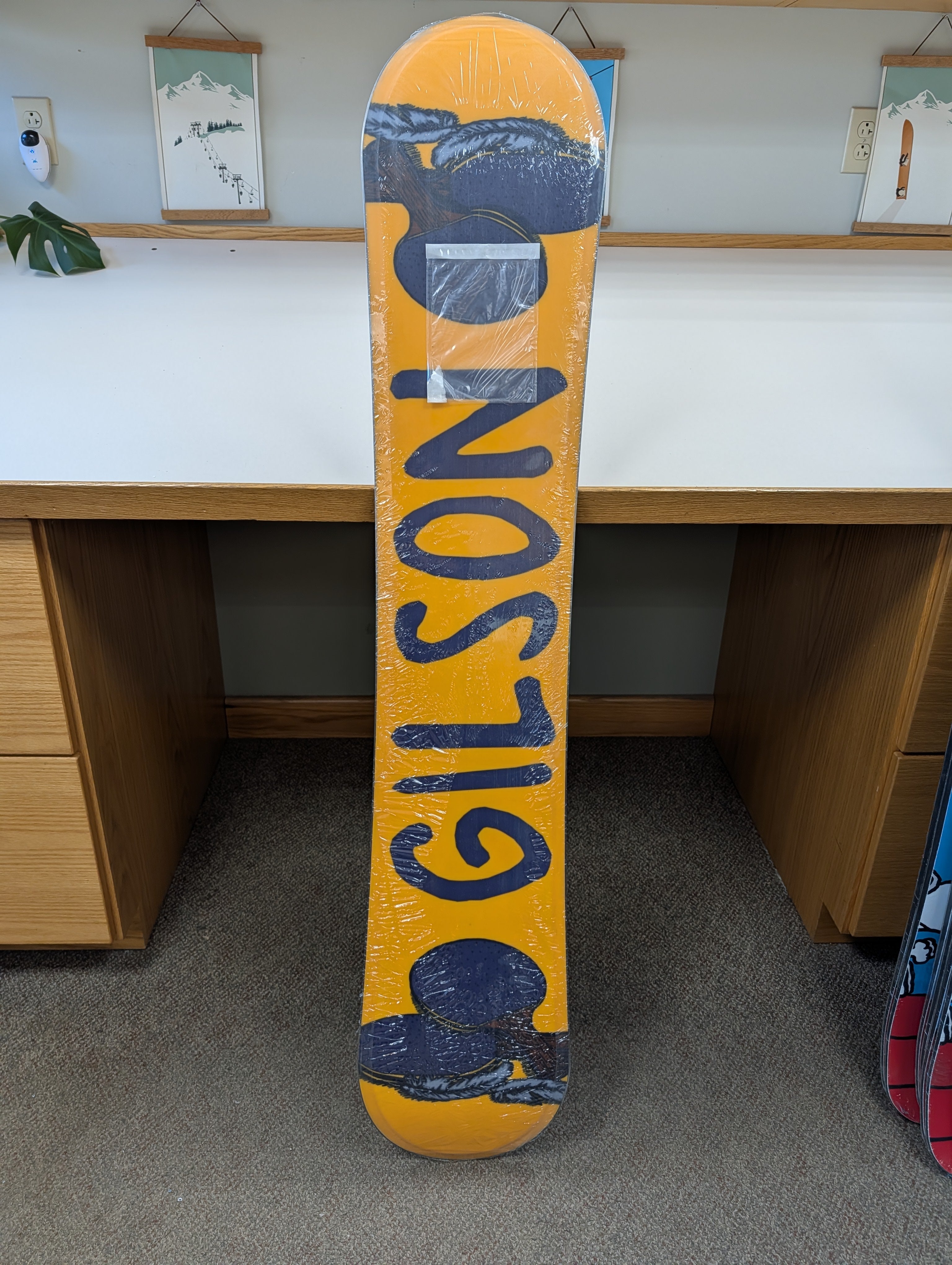 GILSON Closeout – Pigeons Playing Ping Pong 155cm