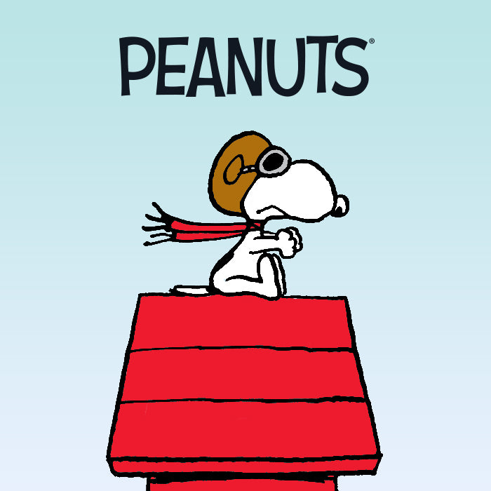 GILSON x Peanuts Charlie Brown Snowboard | 1-of-75 Collector's Series