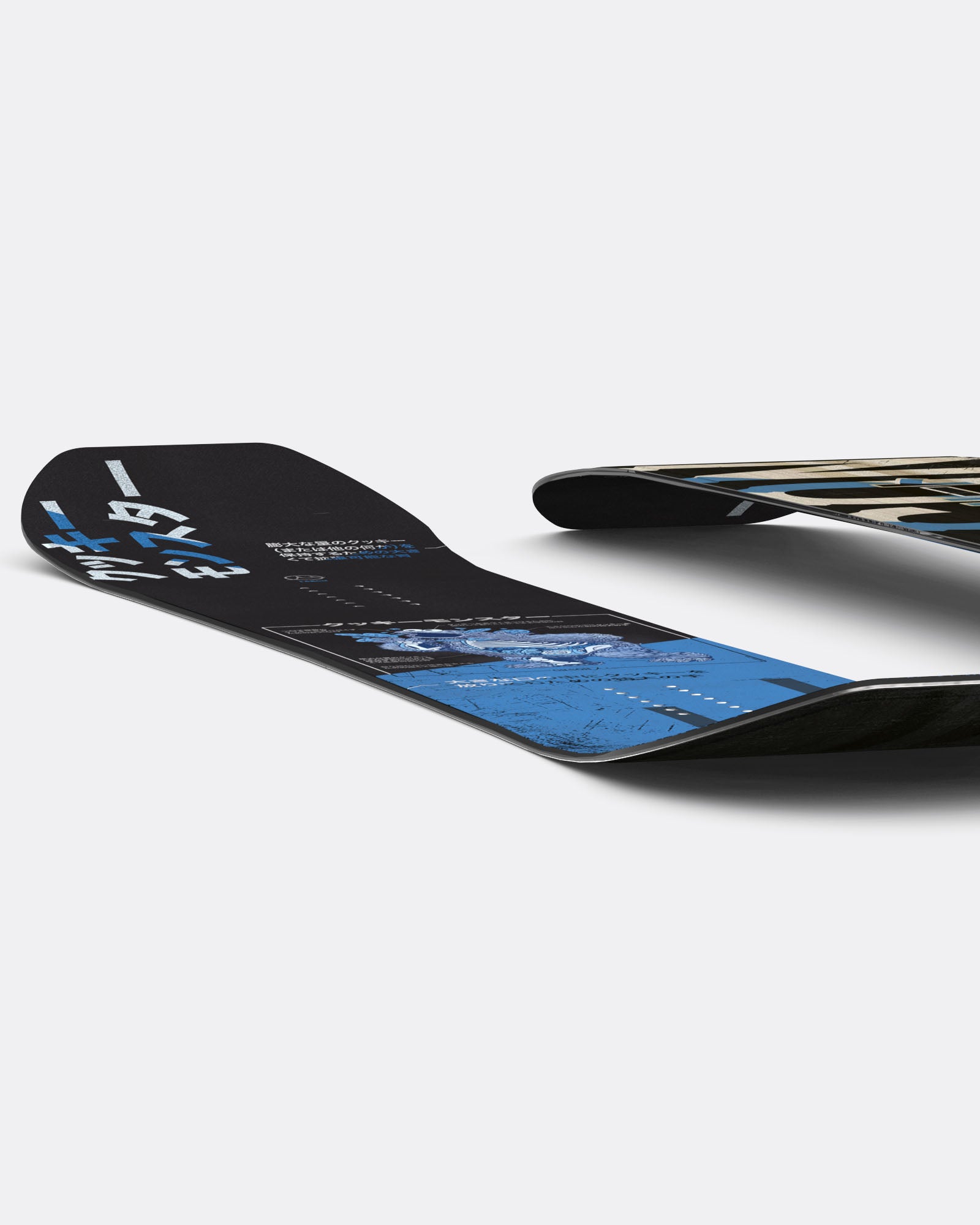 Monster Anatomy Cookie Monster